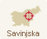 Savinjska